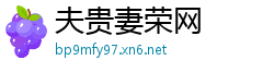 夫贵妻荣网
